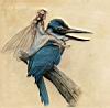 Jean-Baptiste Monge - Feerie Tome I - 26